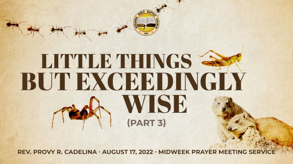 Little Things but Exceedingly Wise (Part 3) – Locusts: The Value of Unity