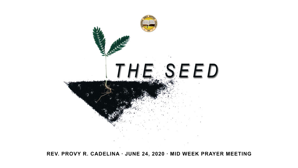 The Seed