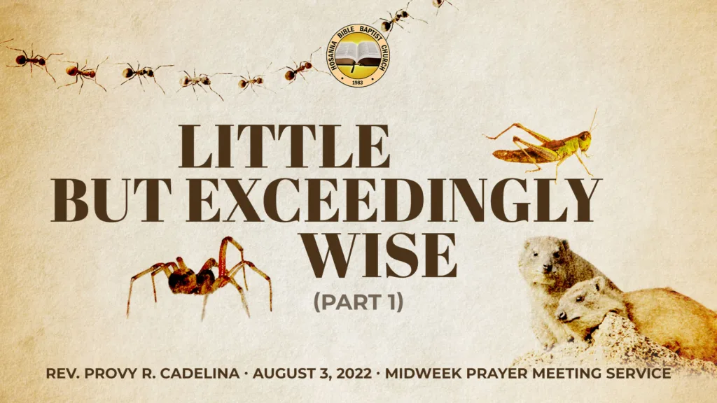 Little but Exceedingly Wise (Part 1)